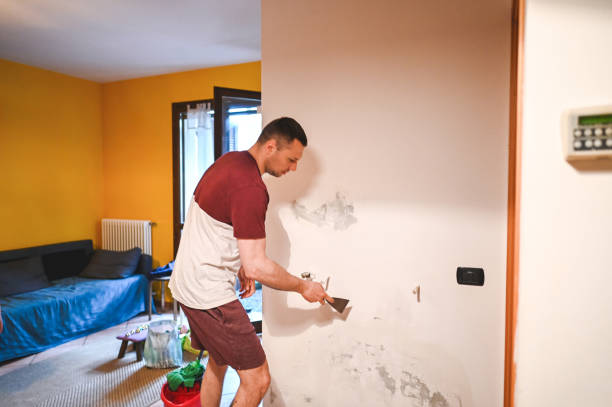 Best Mold Remediation for Schools in Baldwinsville, NY